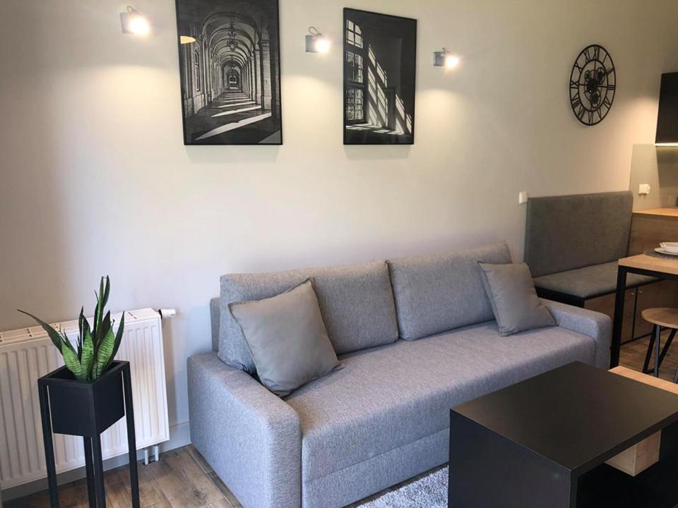 - Soft Lofty Legnicka Centrum * Breslavia